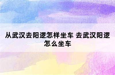 从武汉去阳逻怎样坐车 去武汉阳逻怎么坐车